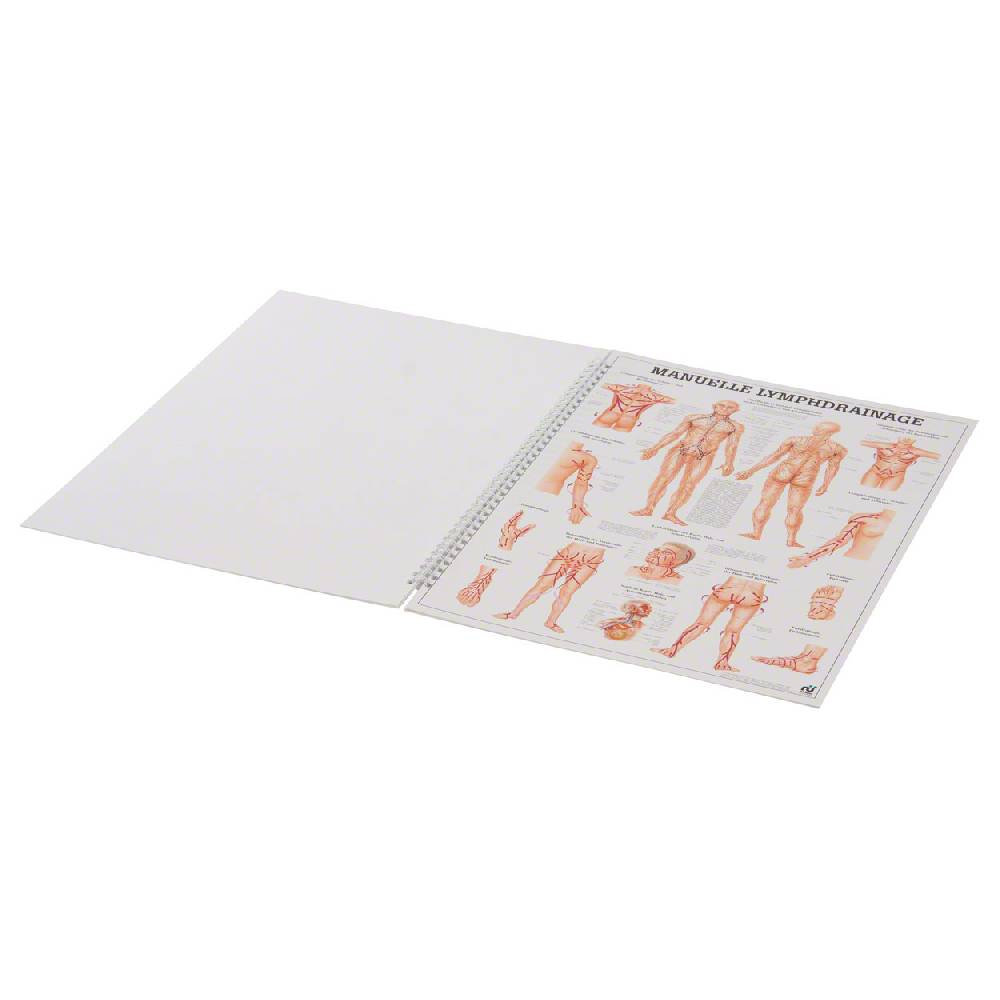 Sport Tec Mini-Poster Booklet "Naturheilkunde des Menschen", LxB 34x24 cm, 12 Poster Verkauf