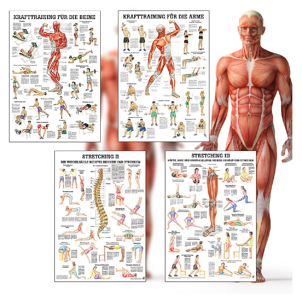 Sport Tec Mini-Poster Booklet "Fitness und Krafttraining", LxB 34x24 cm, 12 Poster Angebote