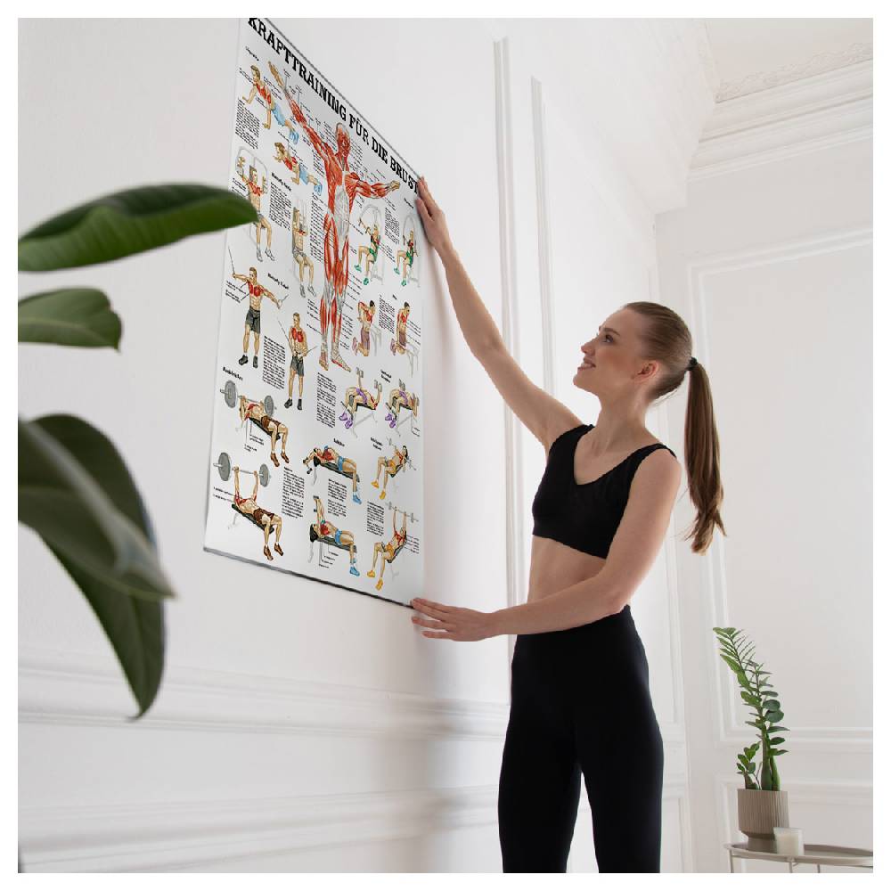 Sport Tec Lehrtafel "Krafttraining Brust", LxB 100x70 cm Hotsell