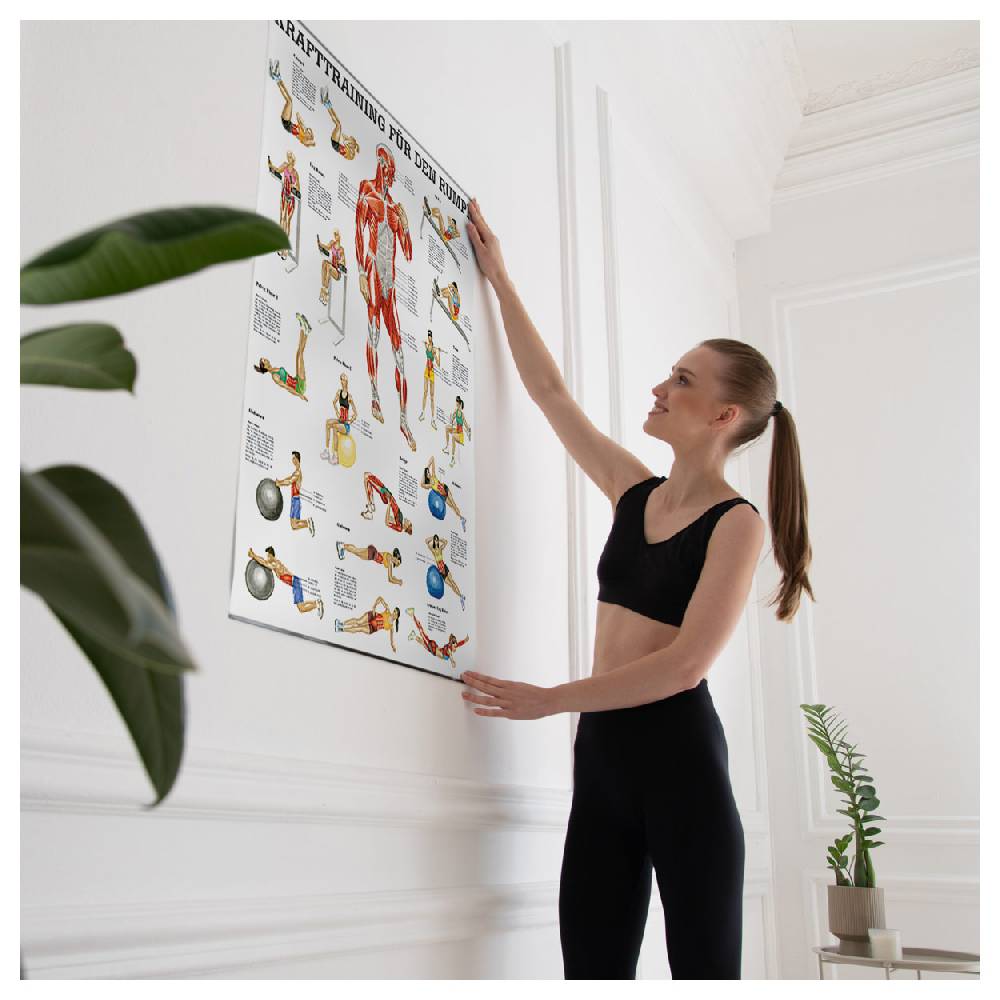 Sport Tec Lehrtafel "Krafttraining Rumpf", LxB 100x70 cm im Angebot