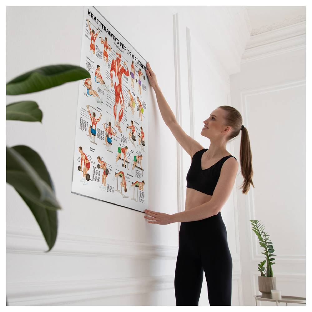Sport Tec Lehrtafel "Kraftraining Rücken", LxB 100x70 cm Blitzverkäufe