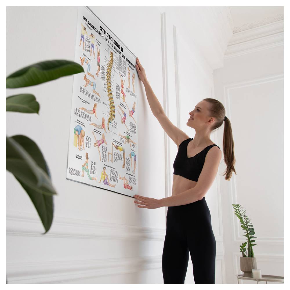 Sport Tec Lehrtafel "Stretching II", LxB 100x70 cm Fabrik Onlineshop