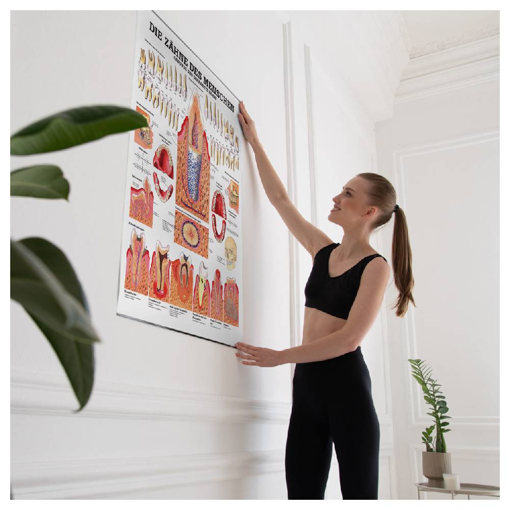 Sport Tec Lehrtafel "Gesunde Zähne", LxB 100x70 cm Neueste Mode