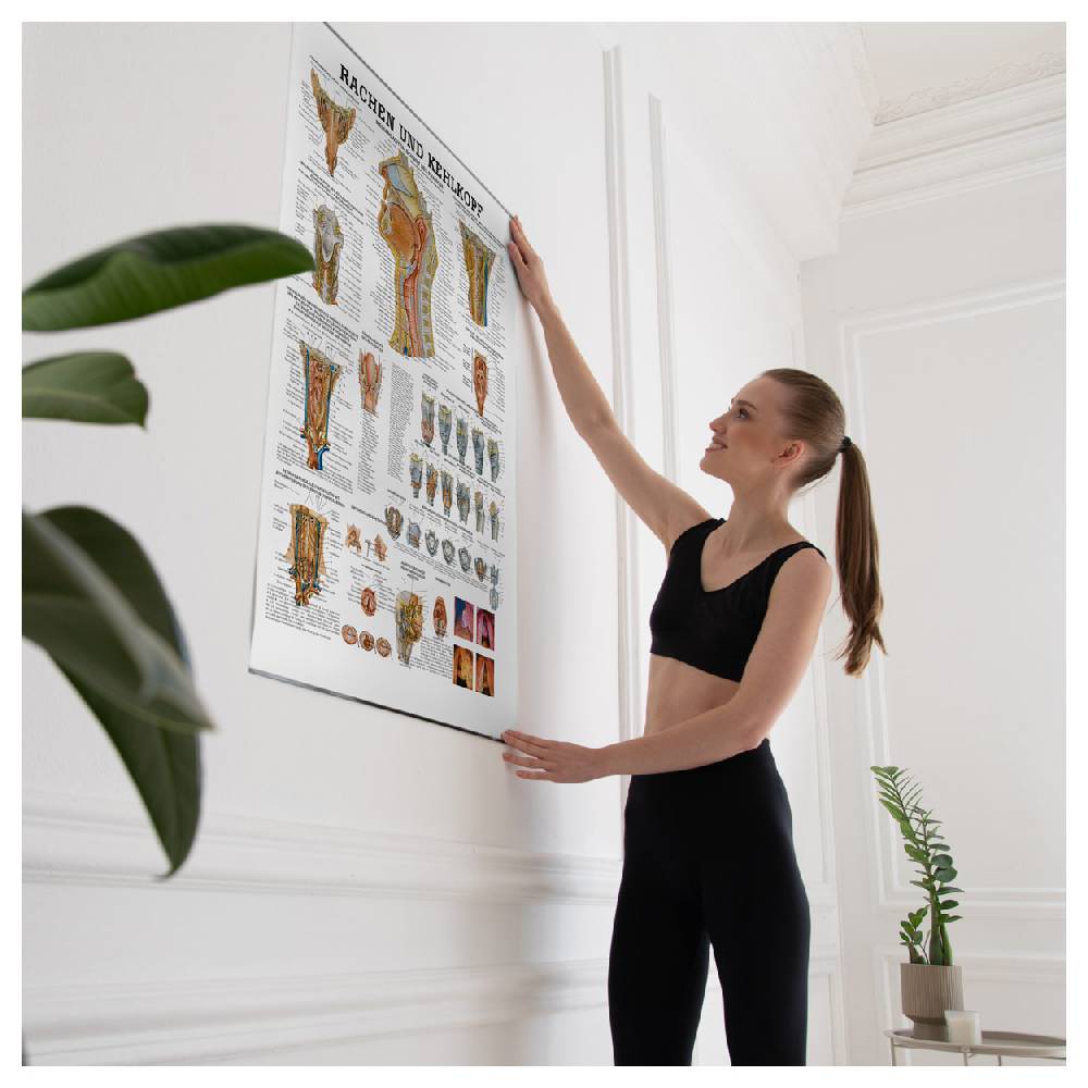Sport Tec Lehrtafel "Rachen u. Kehlkopf", LxB 100x70 cm Kostenlose Rückgabe