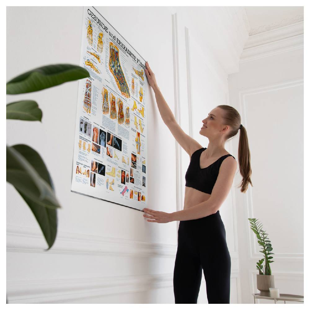 Sport Tec Lehrtafel "Der Fuß", LxB 100x70 cm Begrenzte Freigabe