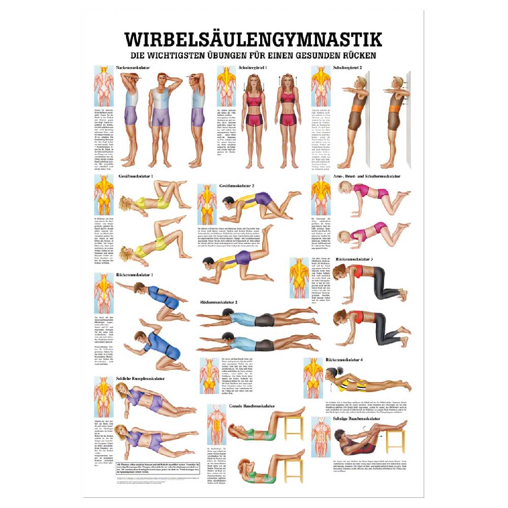Sport Tec Lehrtafel "Wirbelsäulengymnastik", LxB 100x70 cm Letzte 2 Tage