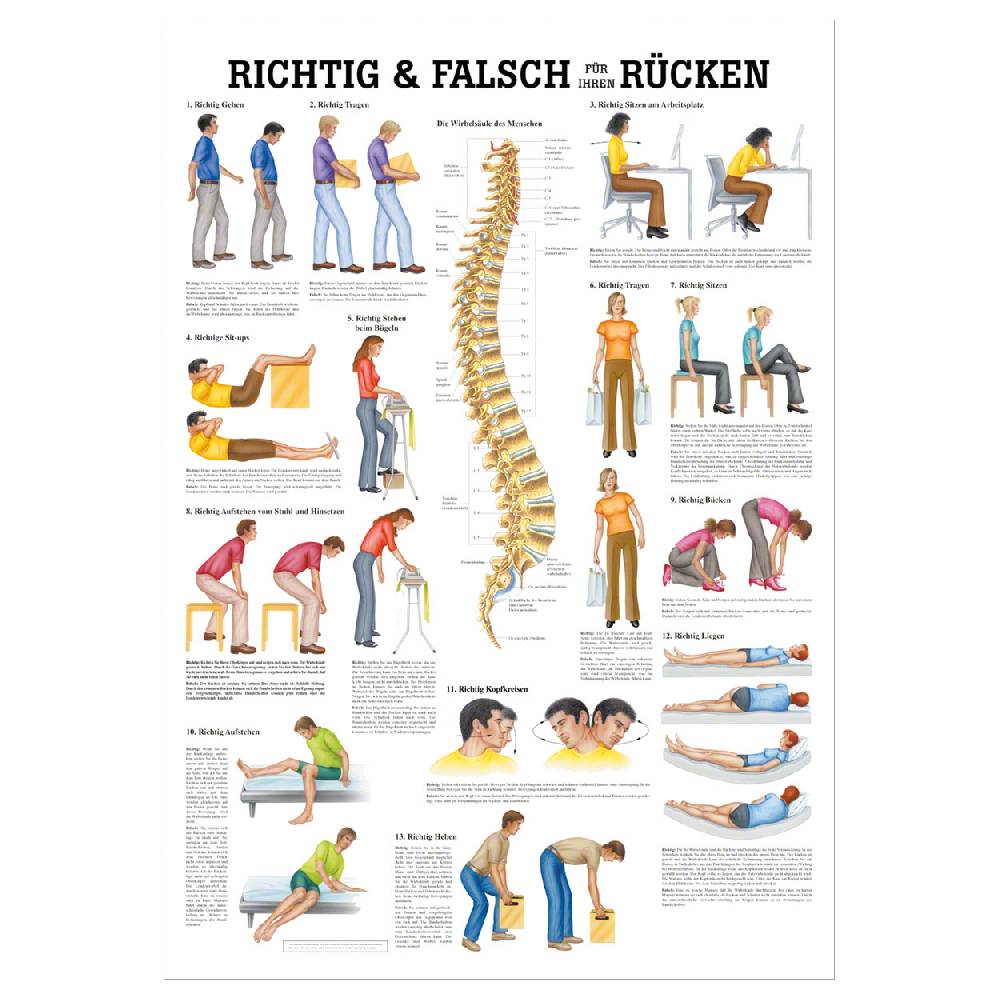 Sport Tec Lehrtafel "Richtig u. falsch für Ihren Rücken", LxB 100x70 cm Zeitbegrenzte Promotion