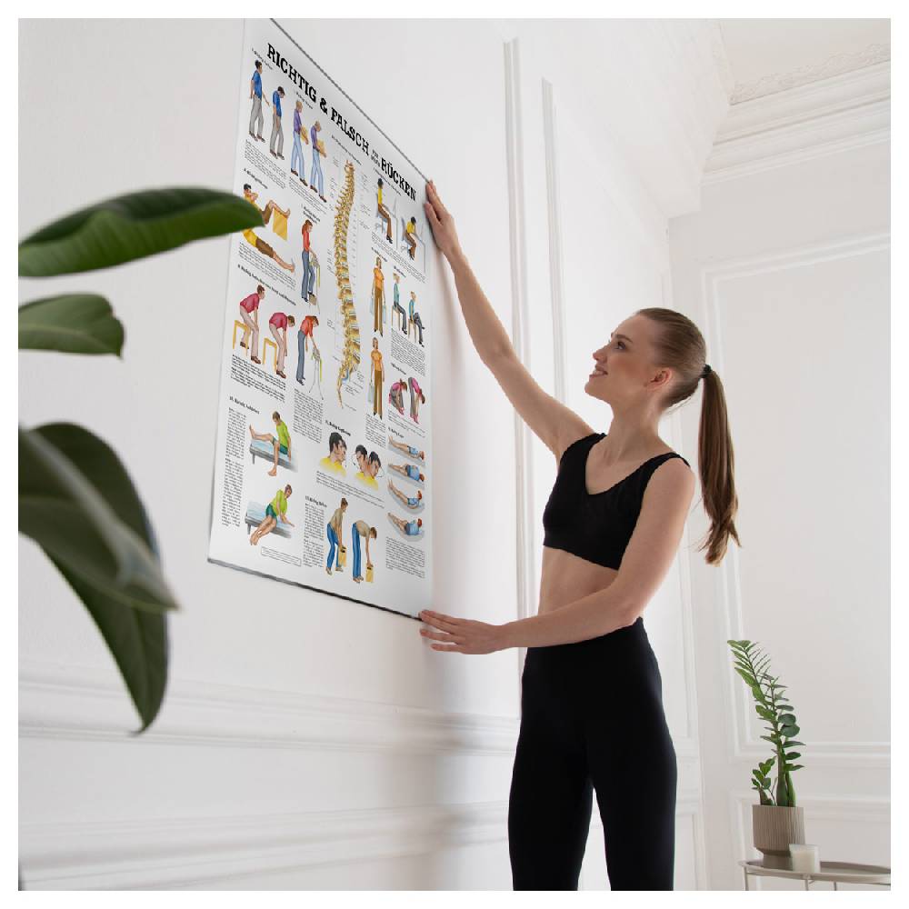 Sport Tec Lehrtafel "Richtig u. falsch für Ihren Rücken", LxB 100x70 cm Zeitbegrenzte Promotion