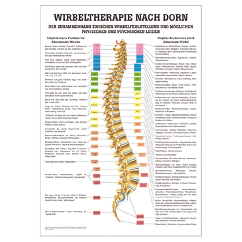 Sport Tec Lehrtafel "Dorntherapie", LxB 100x70 cm Bis zu 60% Rabatt