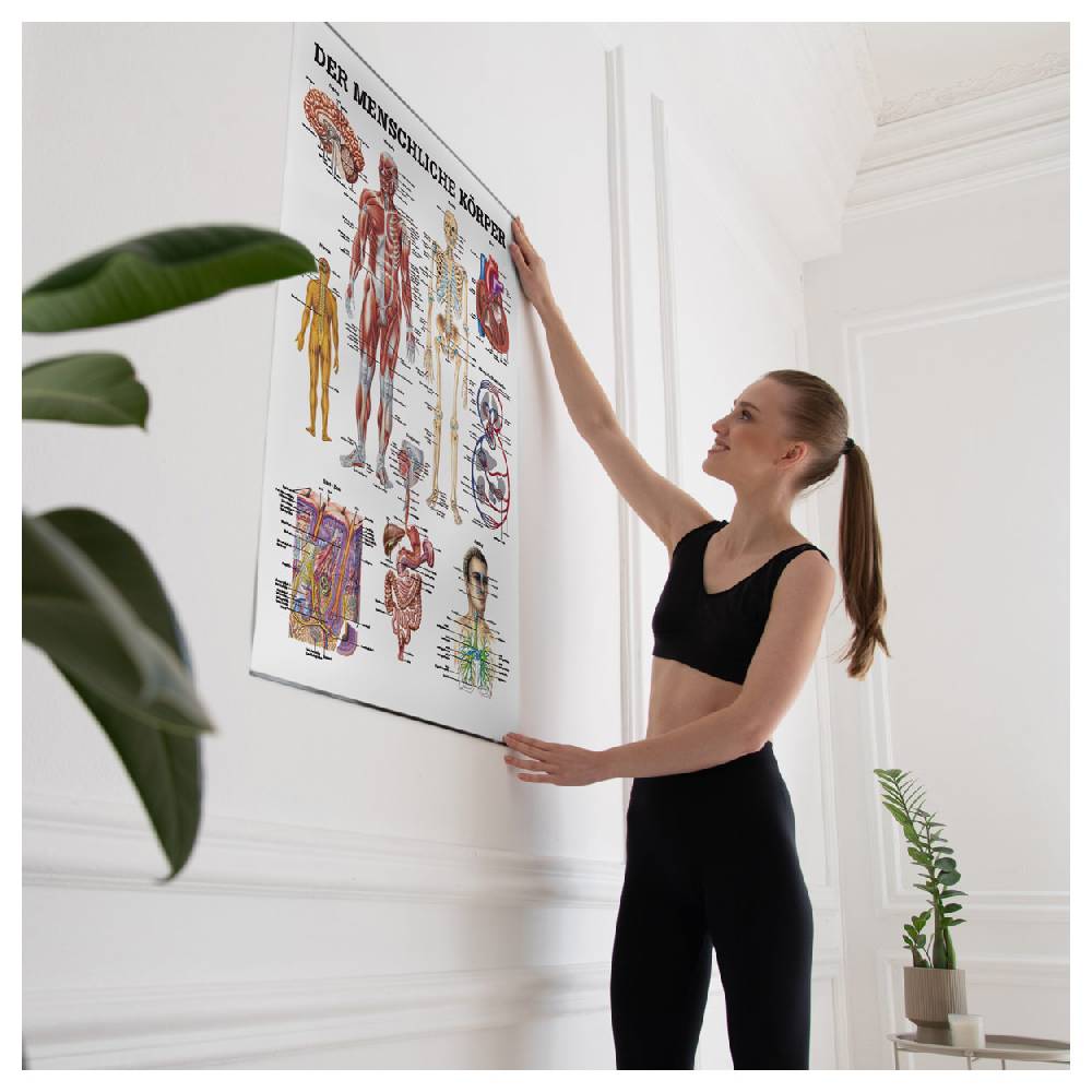 Sport Tec Lehrtafel "Der menschliche Körper", LxB 100x70 cm Nur für heute